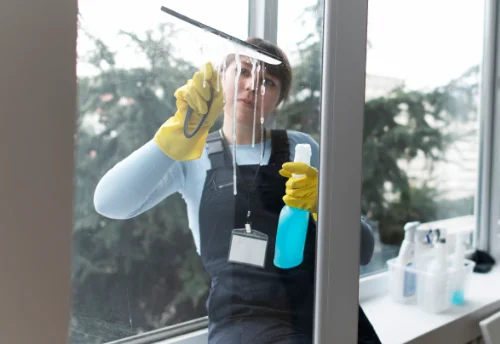 Nettoyage de vitres intérieures et extérieures à Saint-Jean-de-Galaure